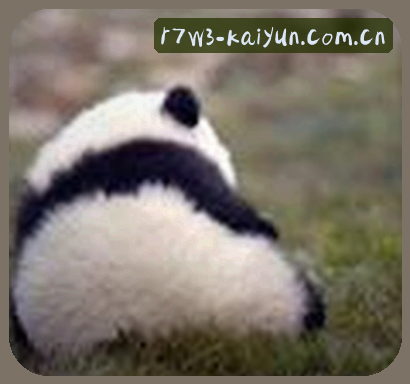 刘佳
